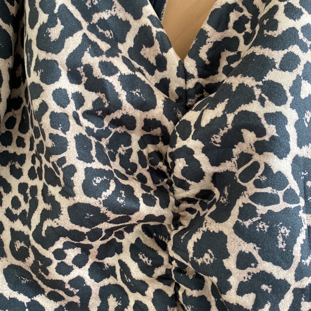 Zara Ruched Leopard Dress - Picture 2 of 6